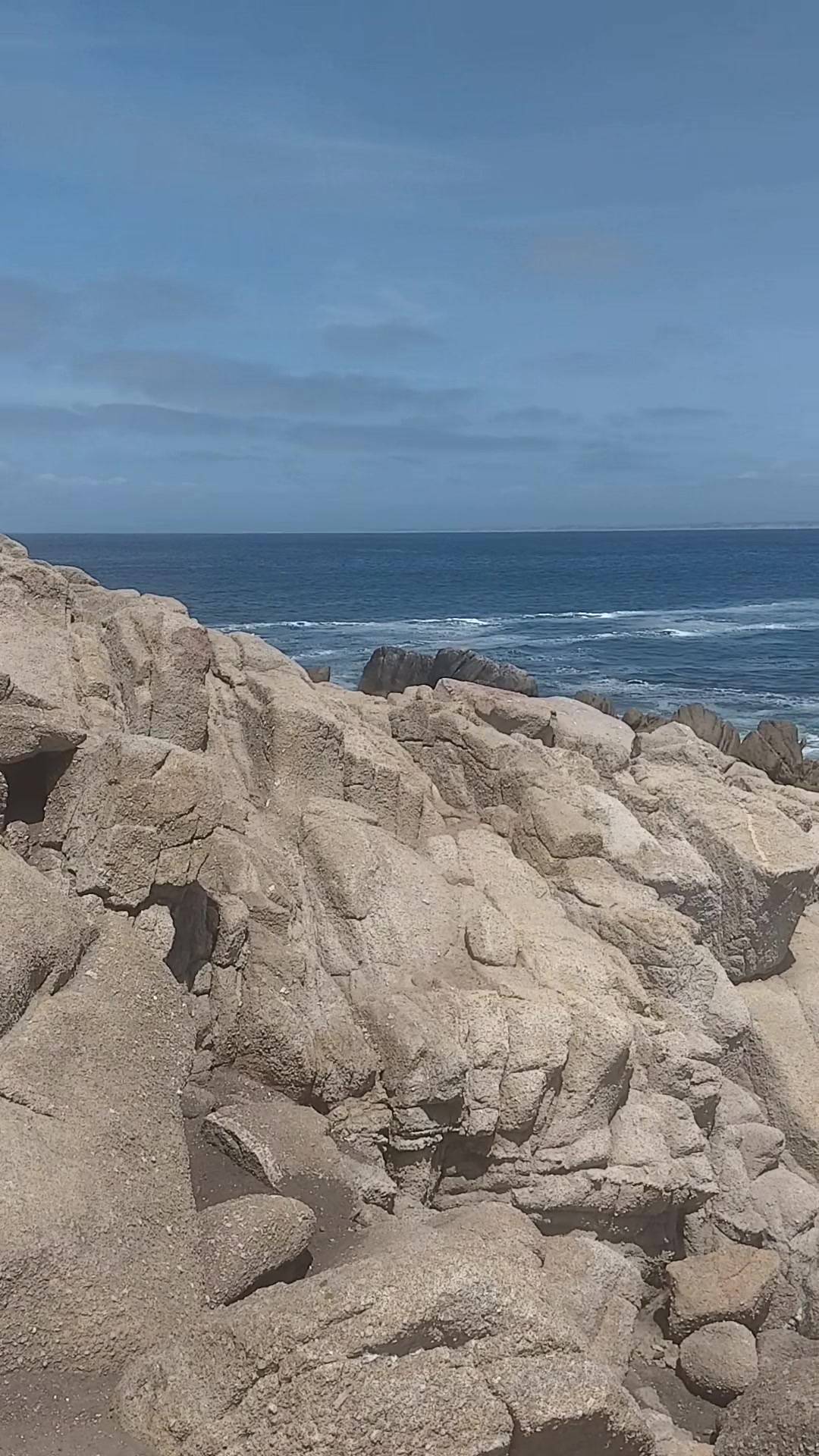 @Carlos Castillo 🍀🐸🐇🇲🇽