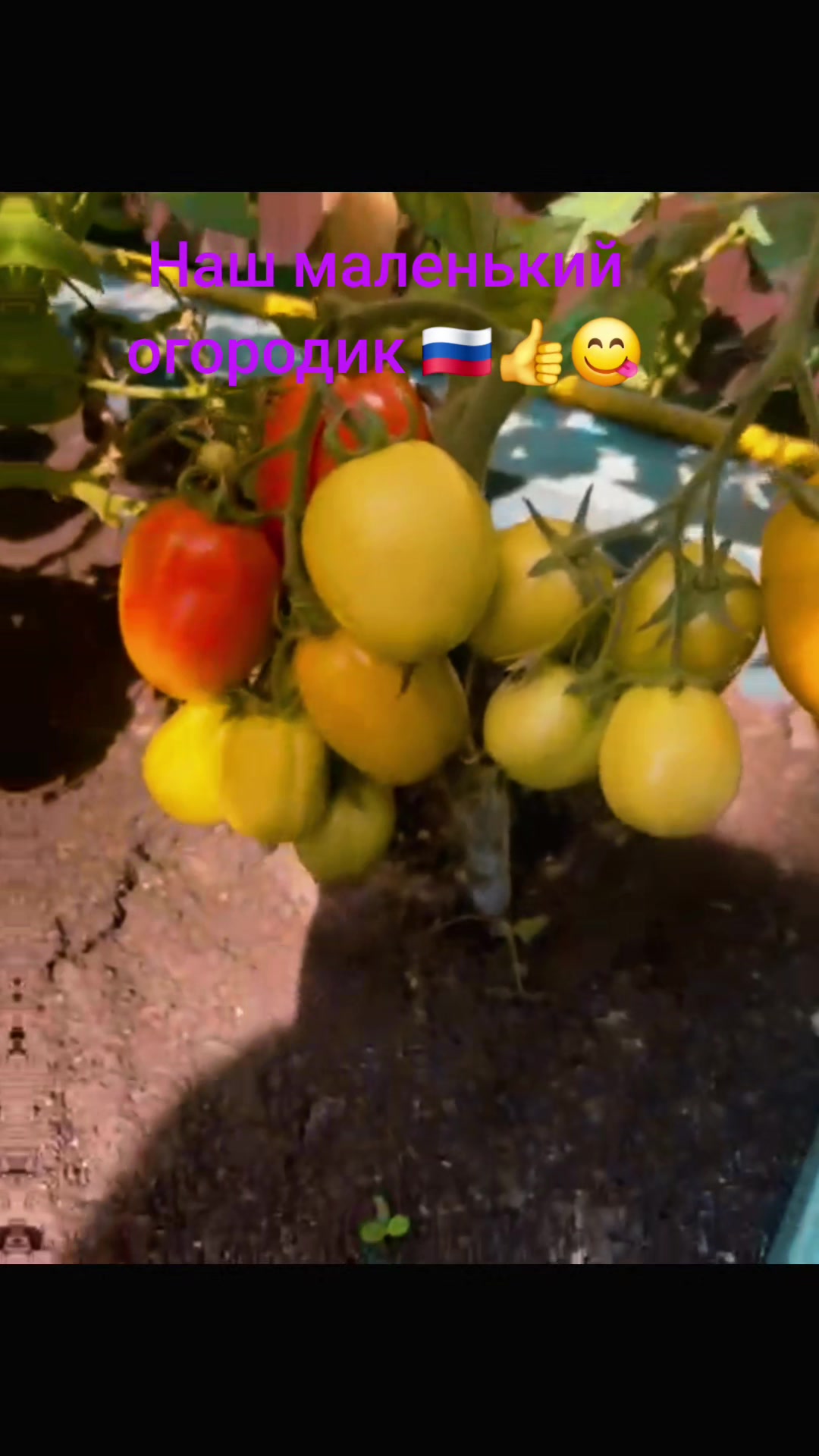 @💞Эльвира💞