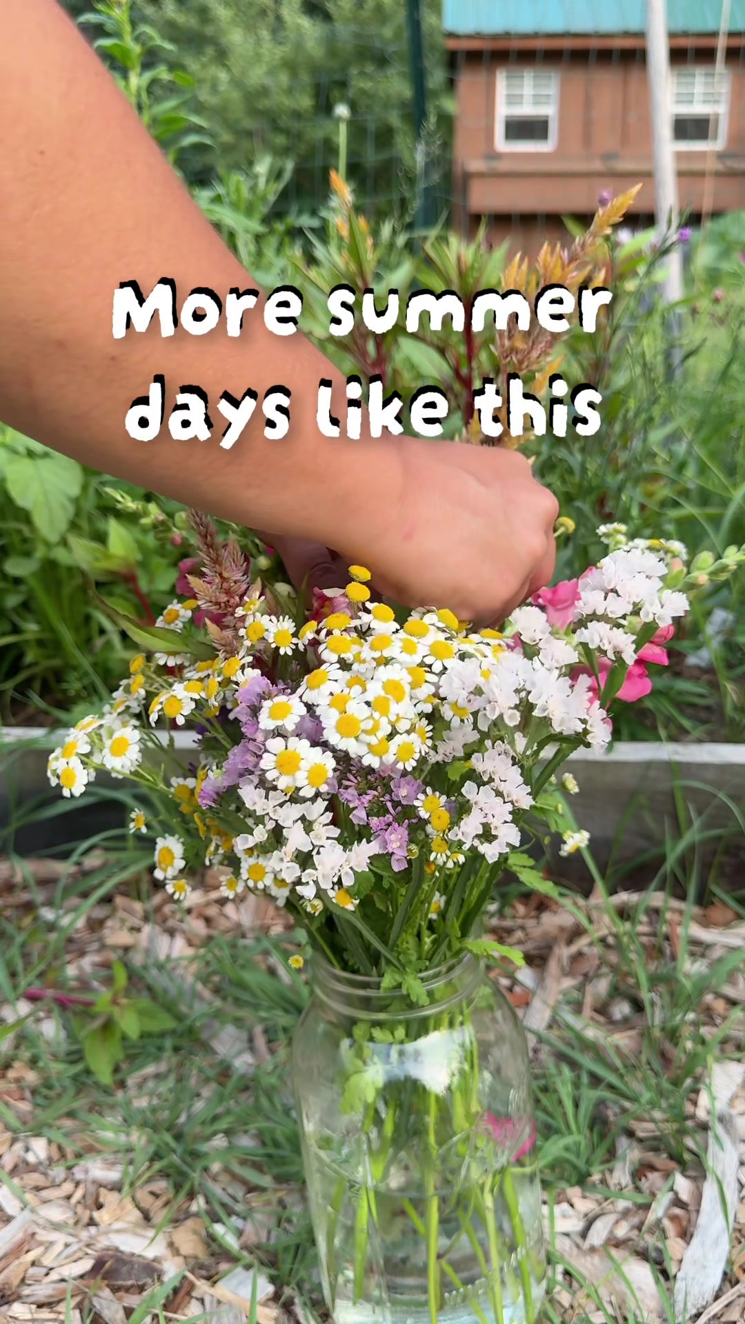 @Manica | zone 6a gardener