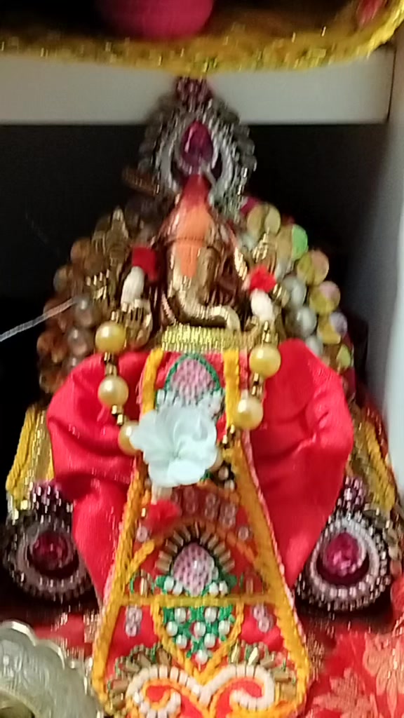 @Anjani Thakur🌻🌻