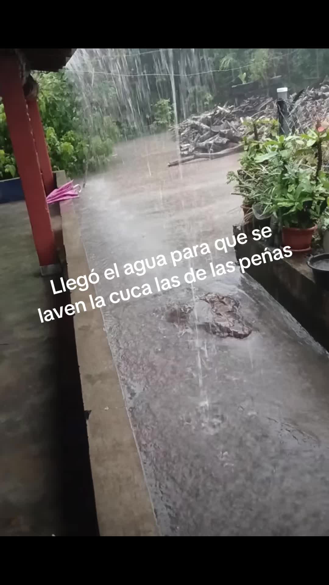 @Quemando💣gente chapina 🇬🇹