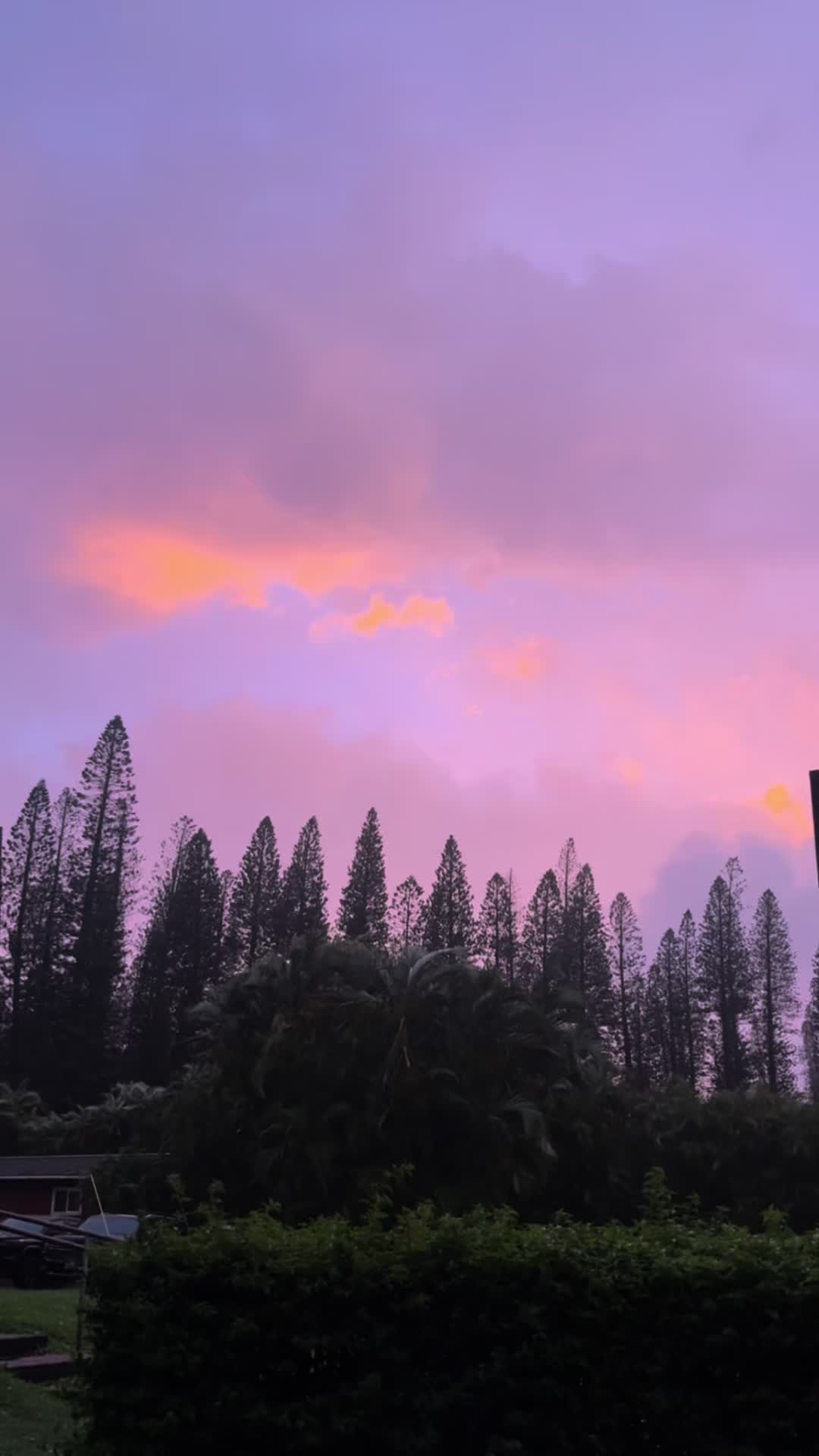 @Mauilani