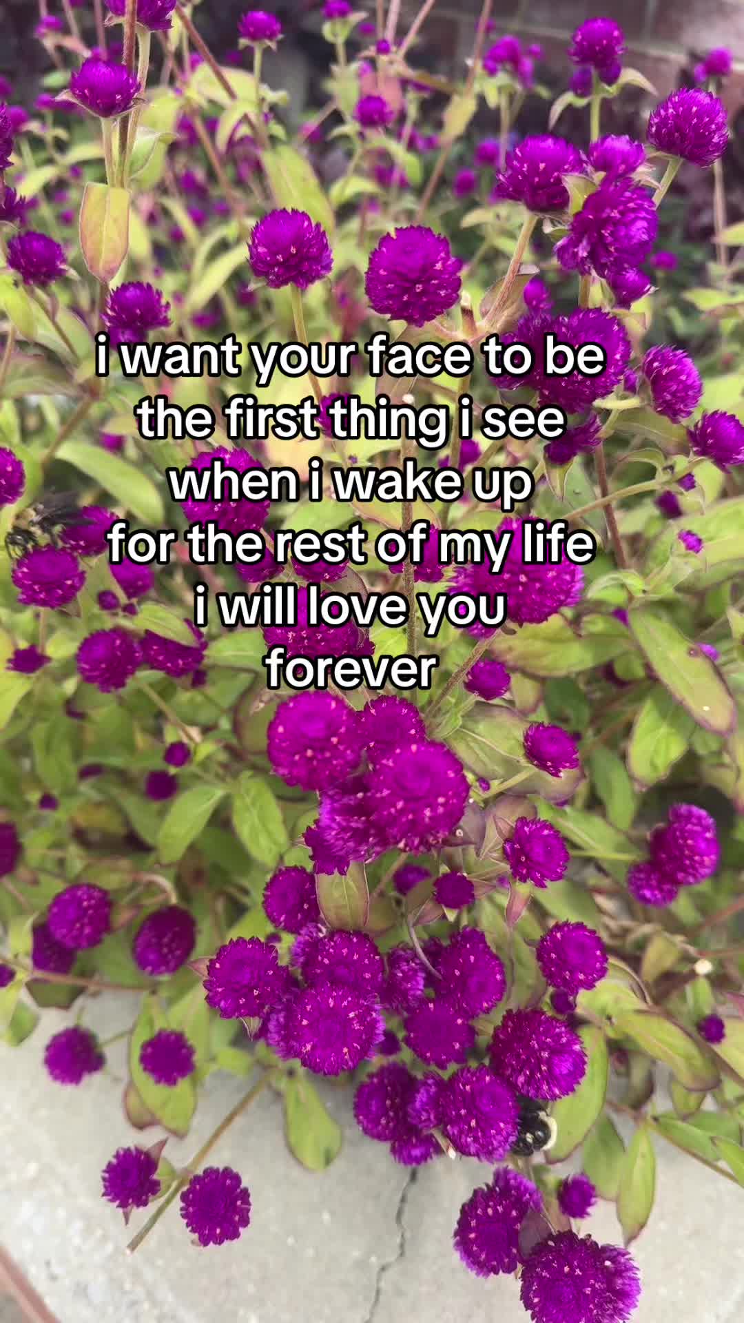 @Dr. Jessie Benson, Coach