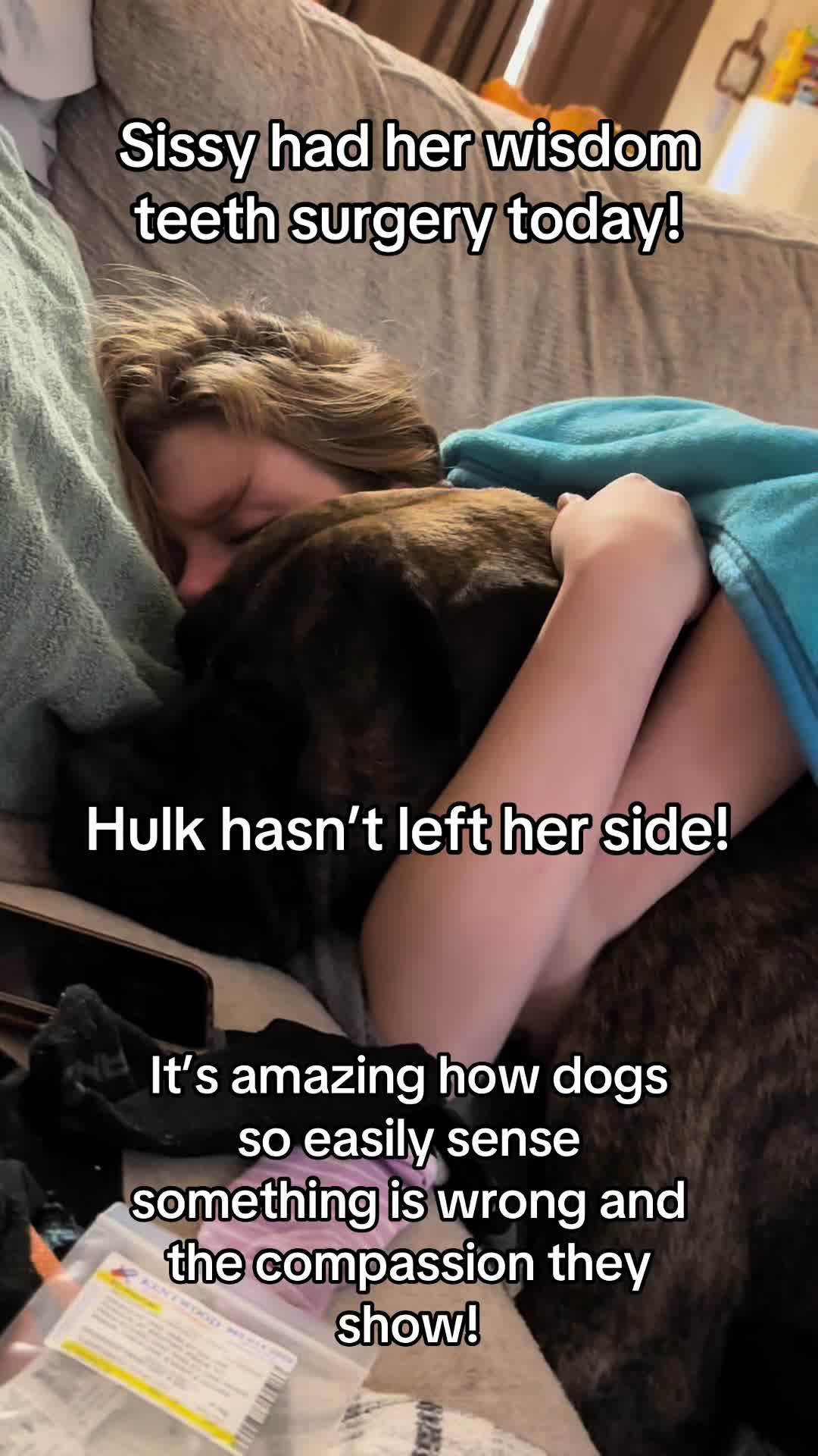@HULK the mastiff