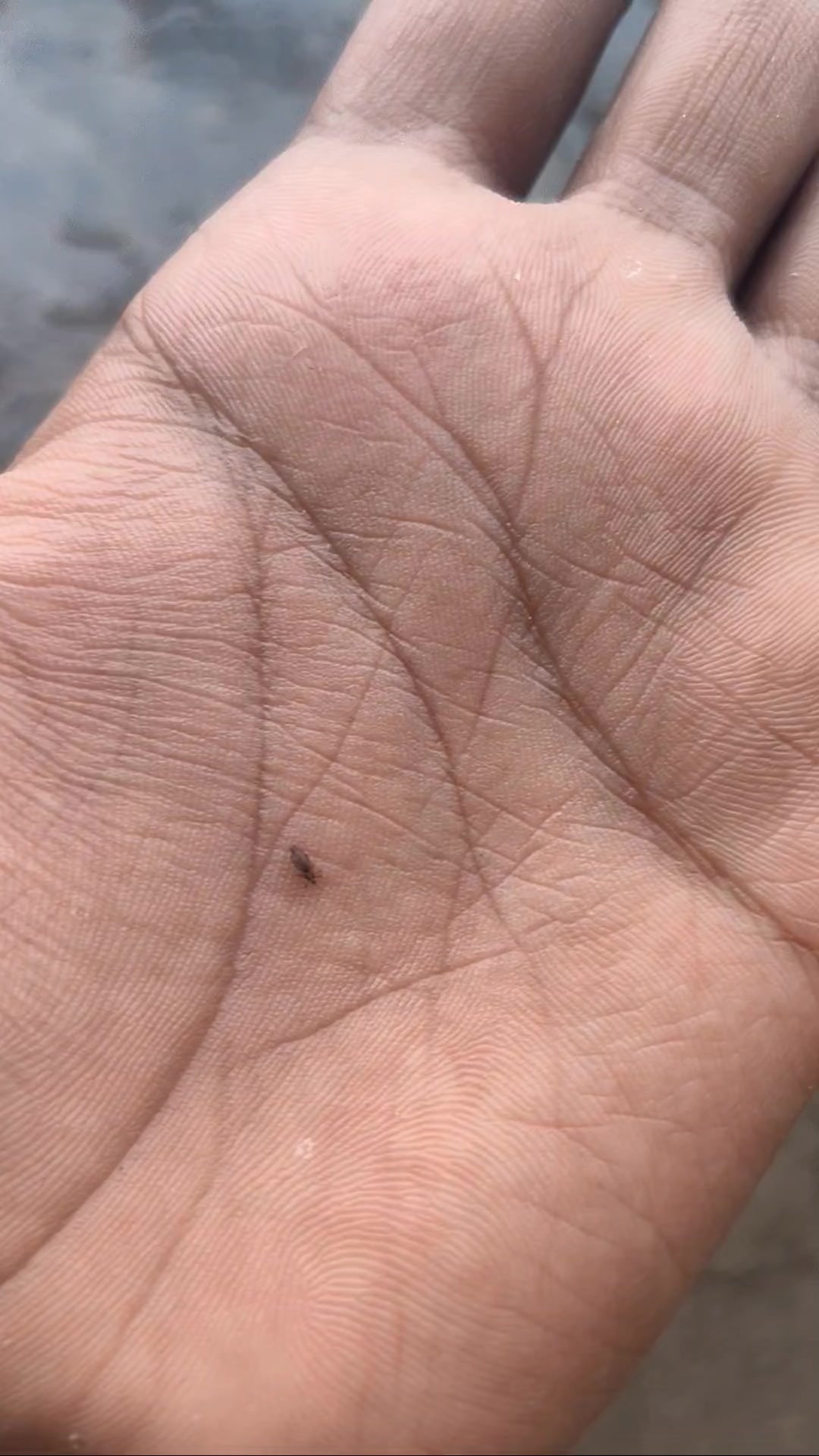 @tripathi_____ji7