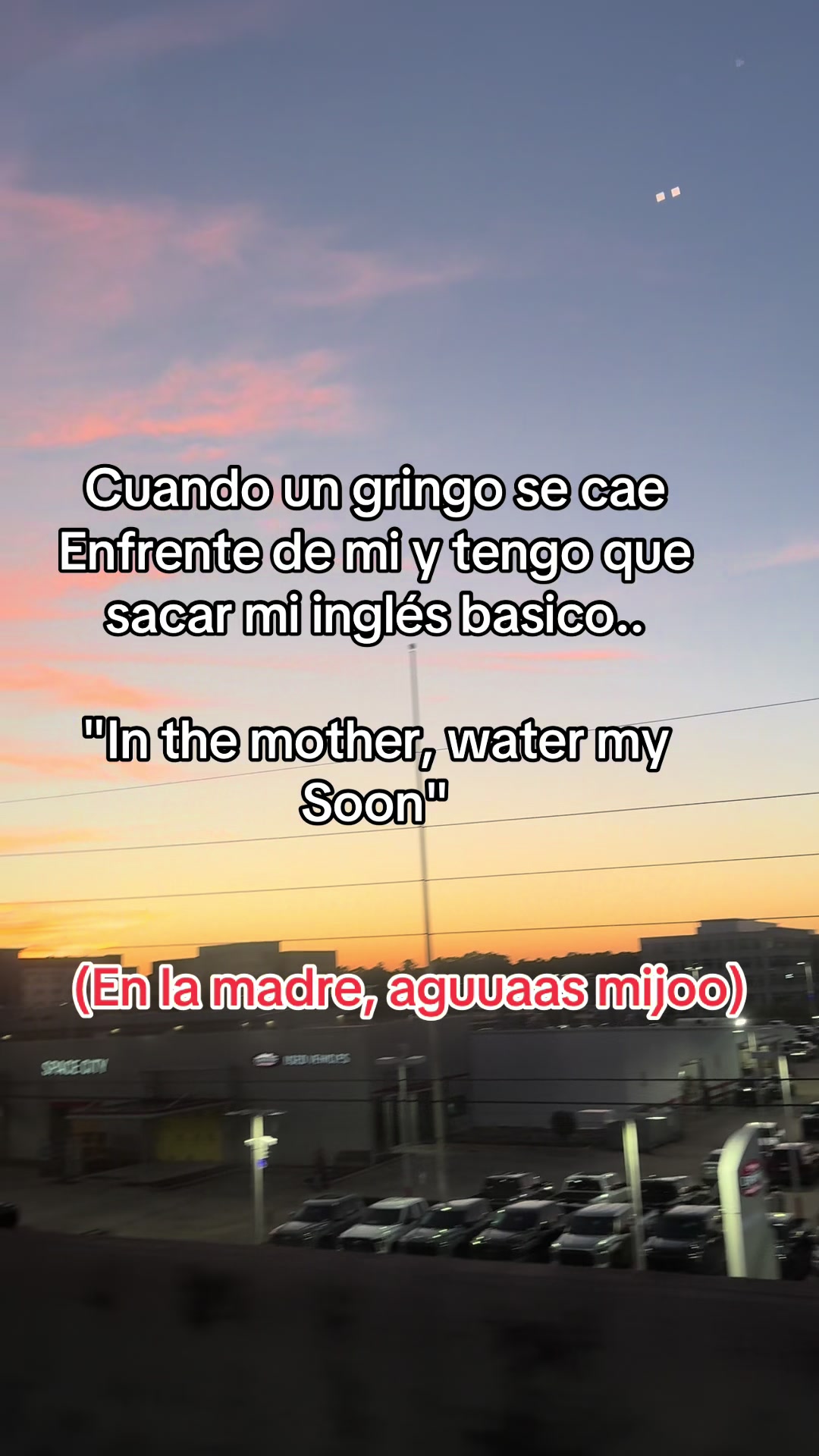 @Ever lares