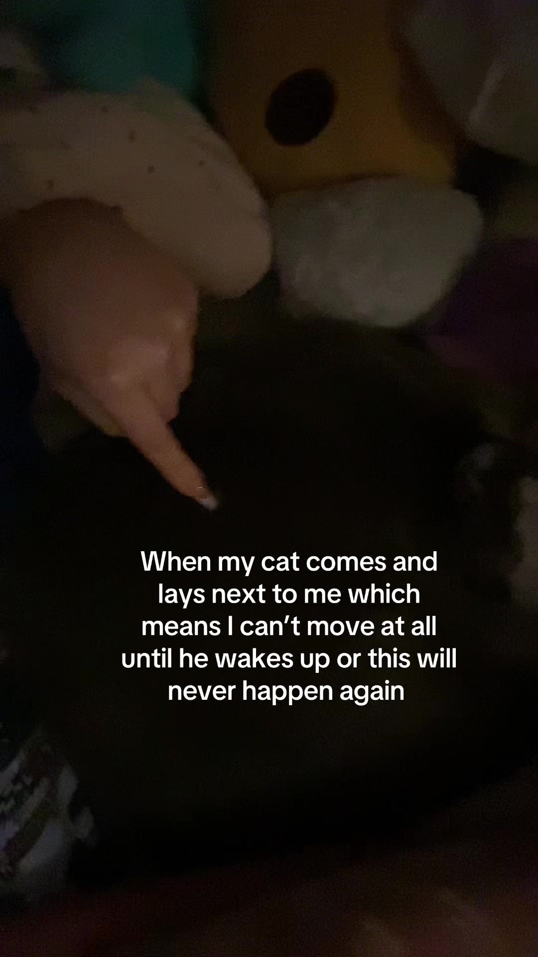 @m