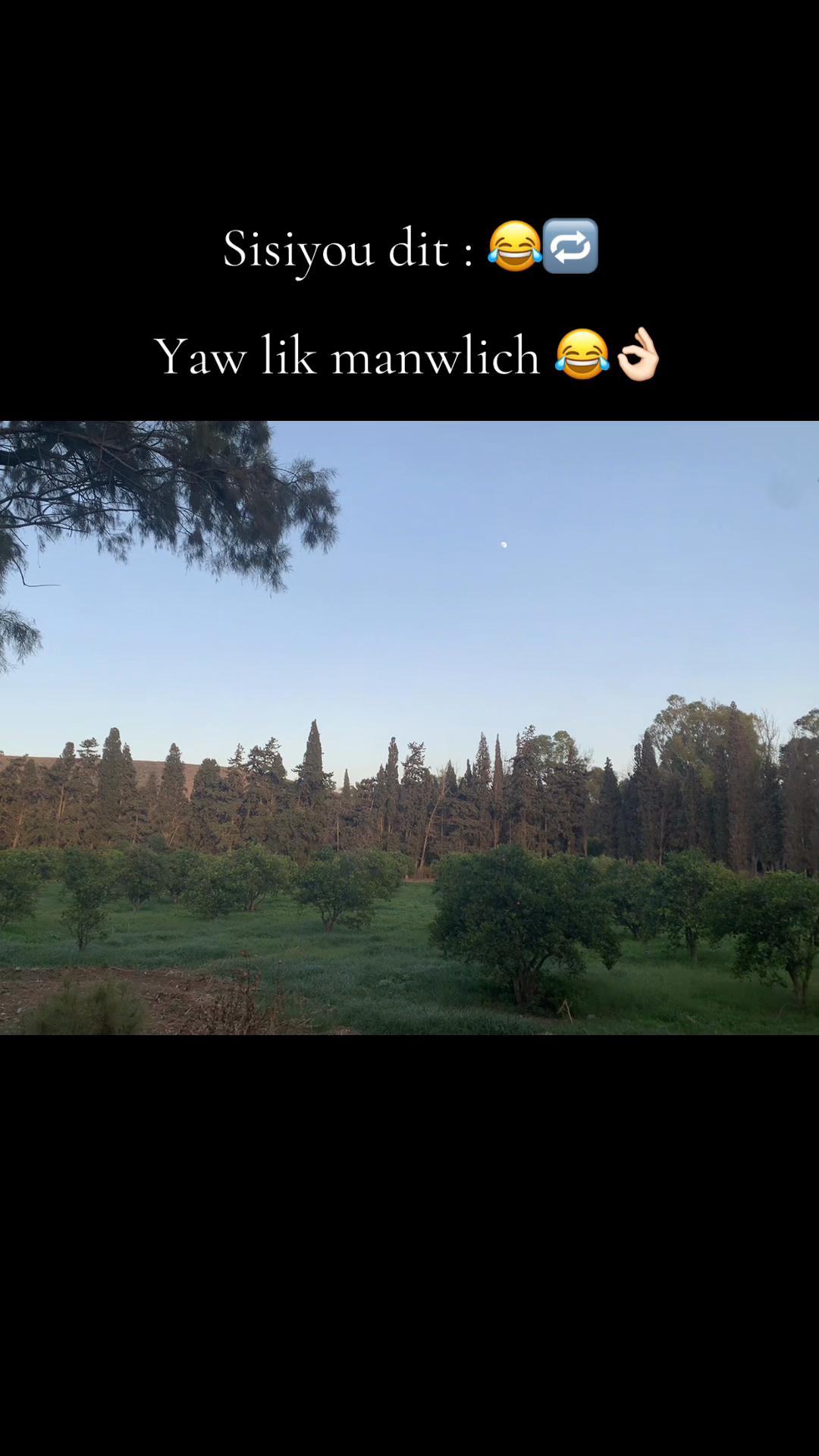 @⚡️🍂