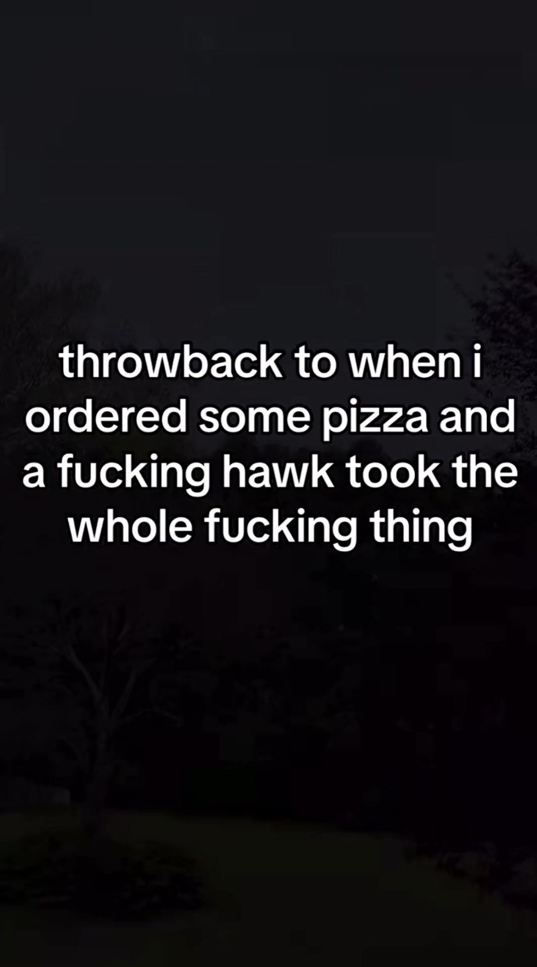@Hxbitz