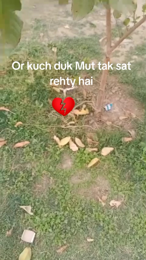 @Heer khanii 💕💖