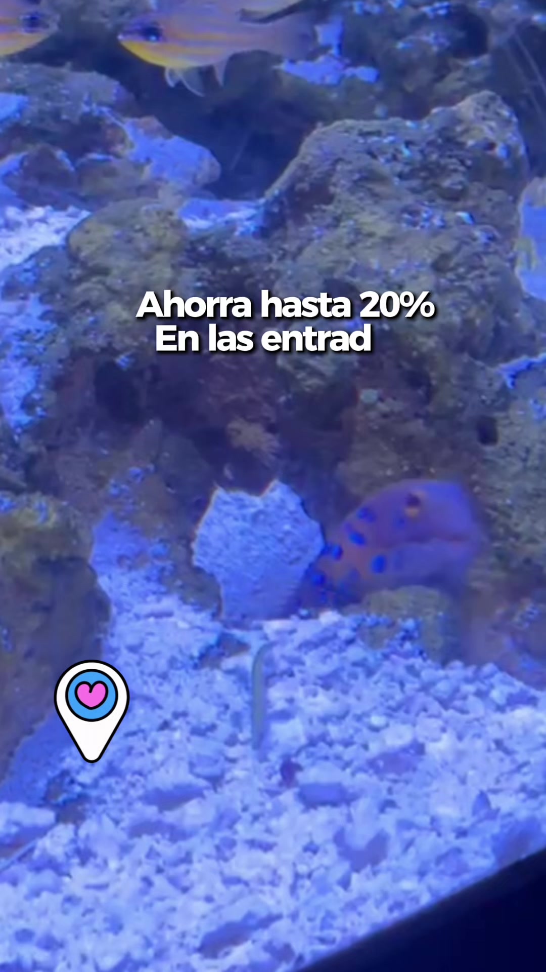 @Vivi Enciso