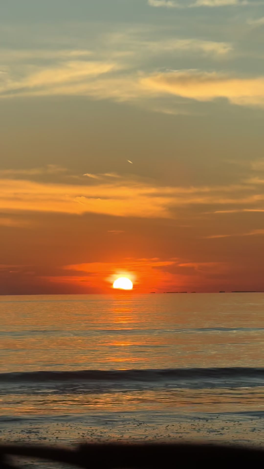 @𝐌𝓢-𝟕✪