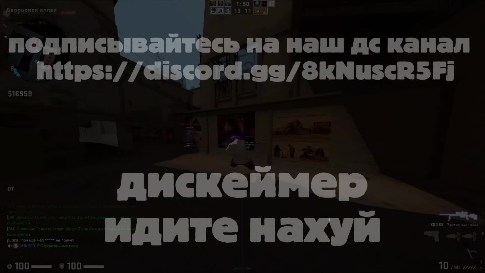 @vivokingsig