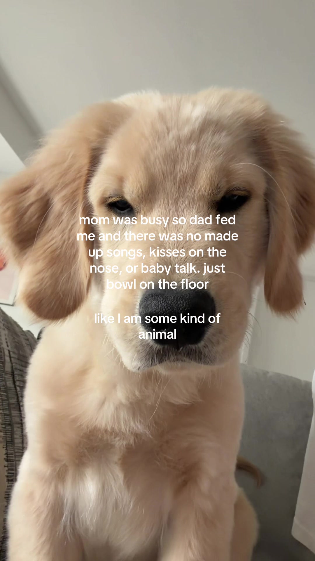 @Luca the Golden
