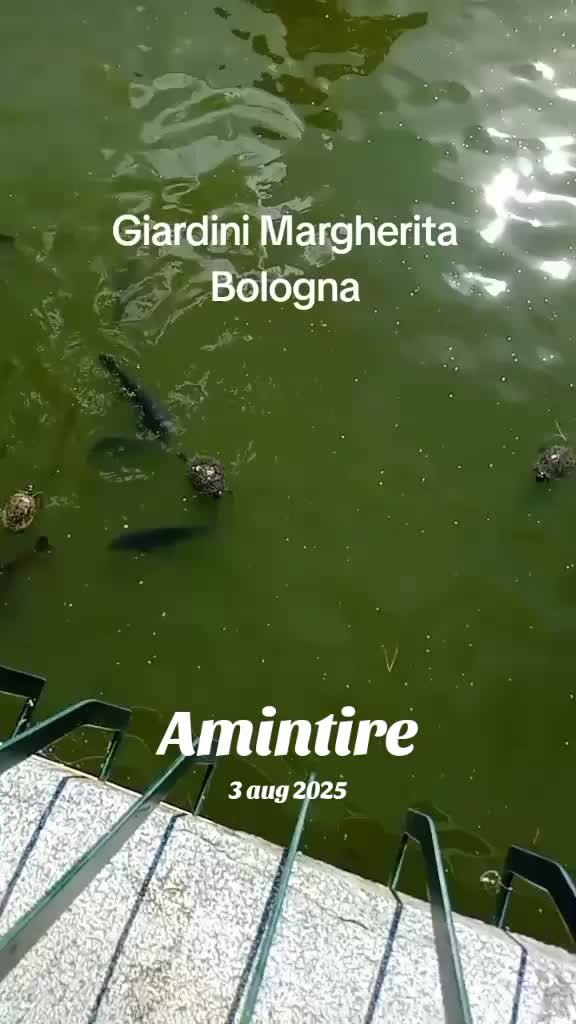 @Constantina Tanţi Va