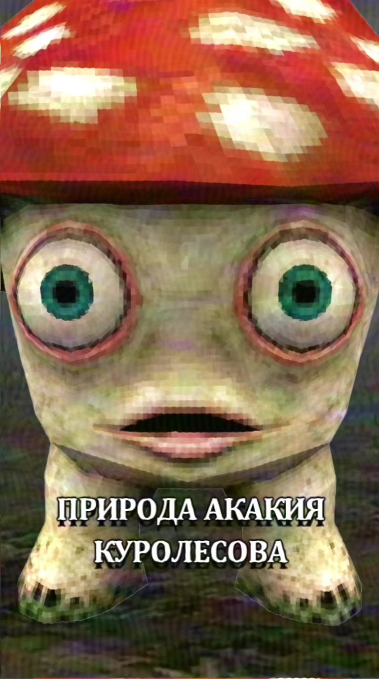 @ЗАЗЕРКАЛЬЕ
