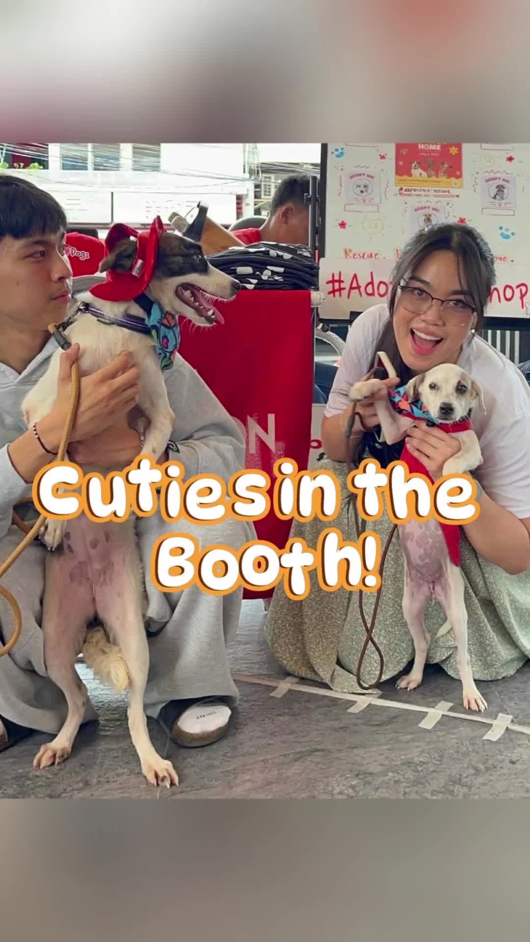 @AnimalKingdomFoundation