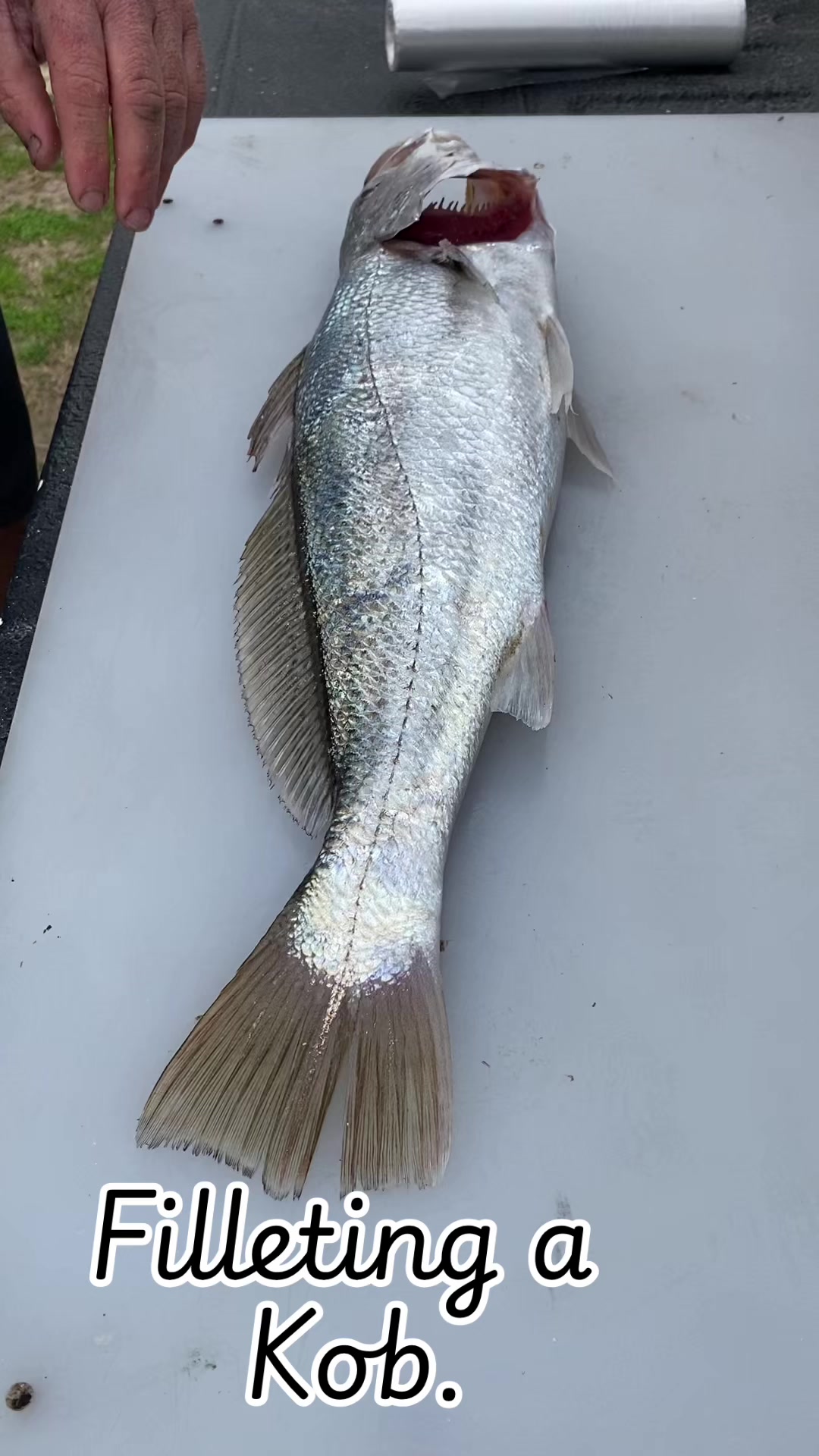 @Rademeyer Fishing