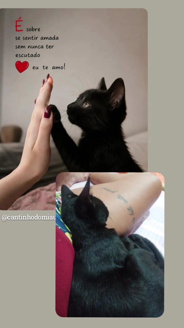 @gabiruivinha7
