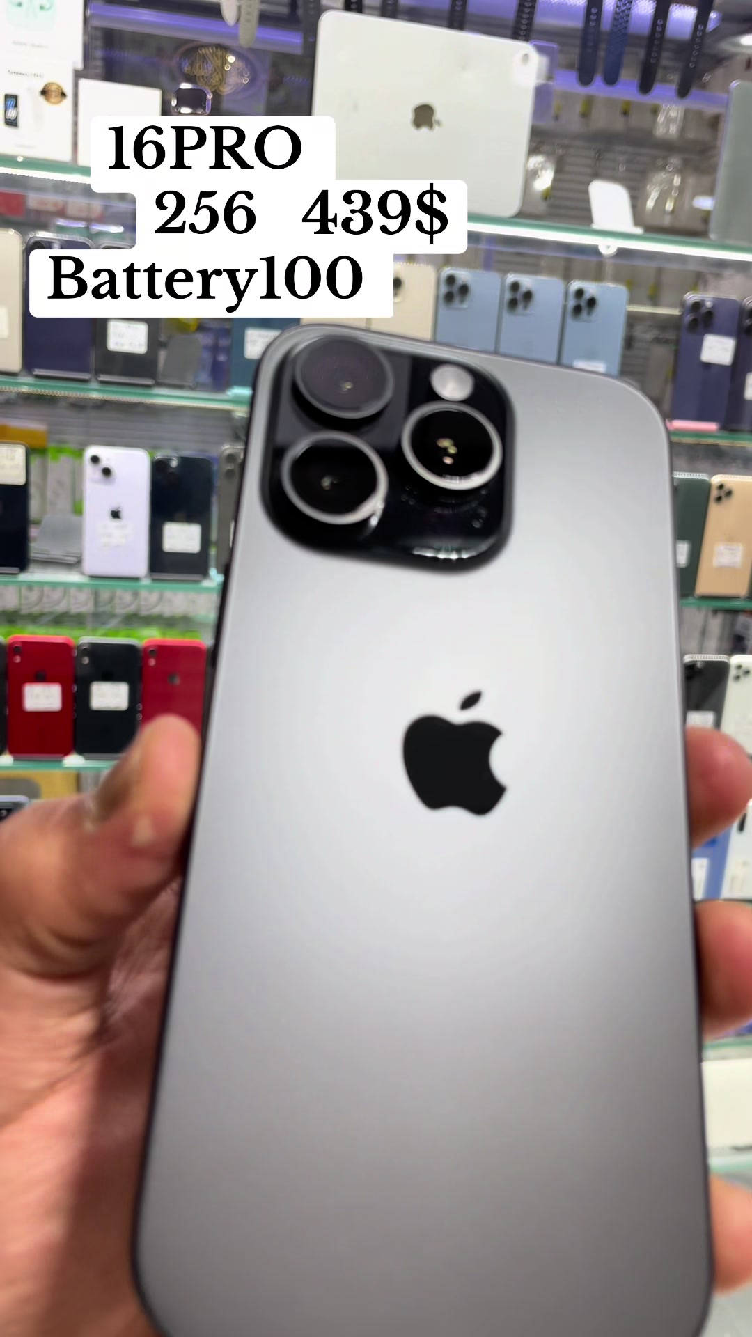 @shadyar.phone