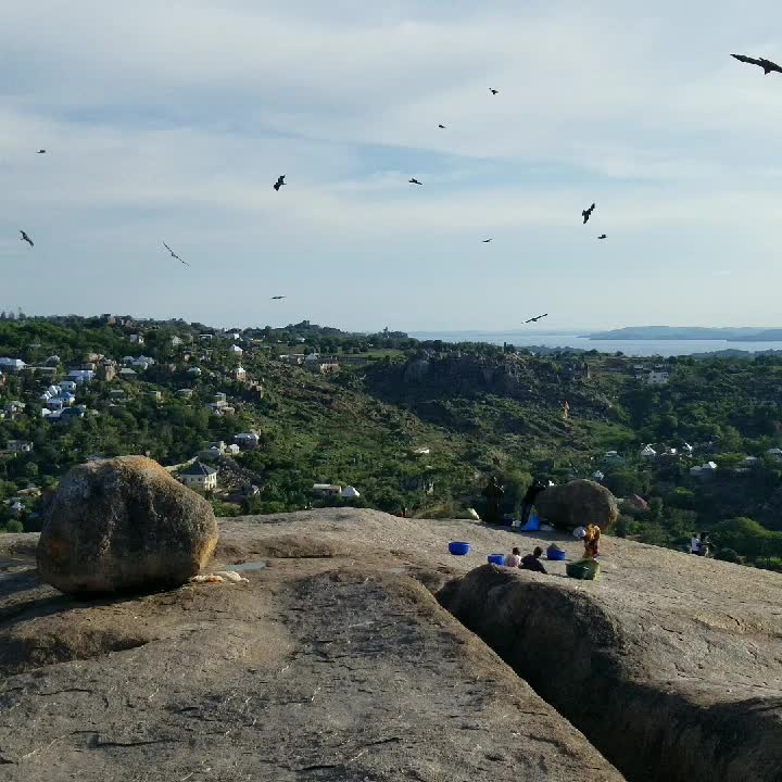 @Reborn Rafiki