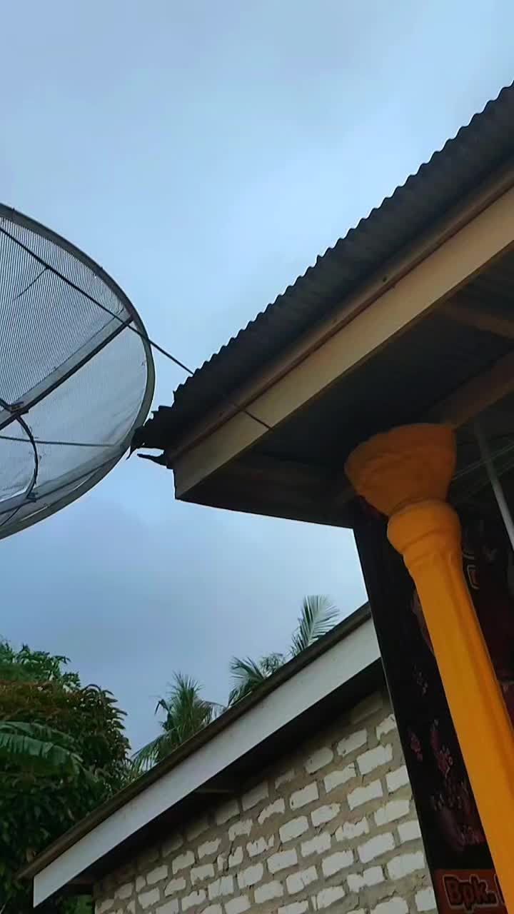 @Fjrr