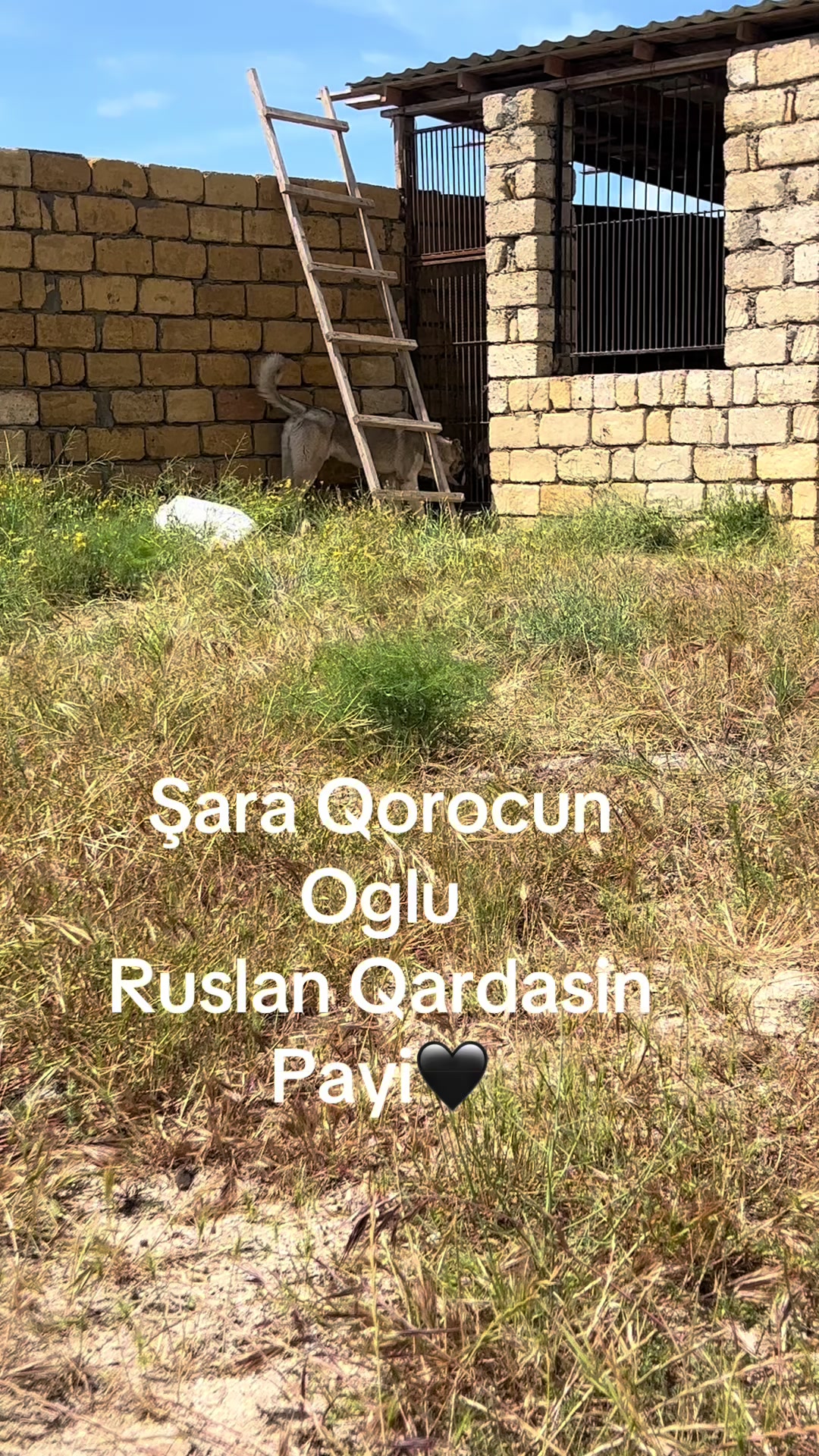 @Farid_333