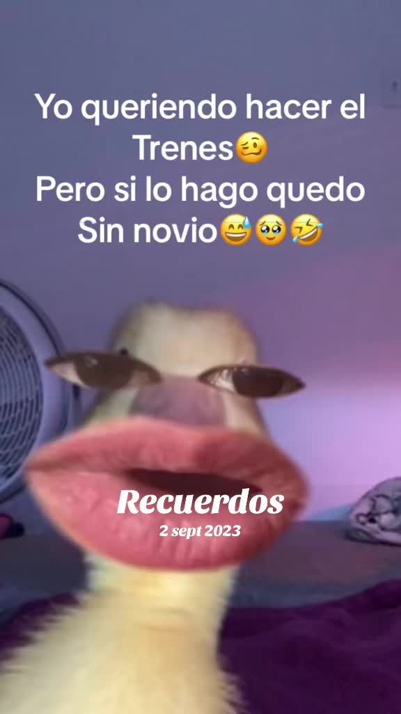 @°NeNa MeJiA°