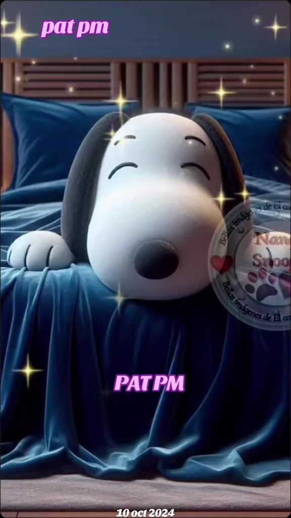 @PAT PM