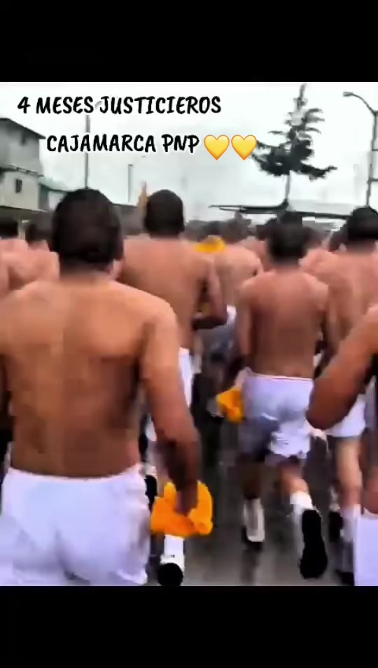 @elprincipe496