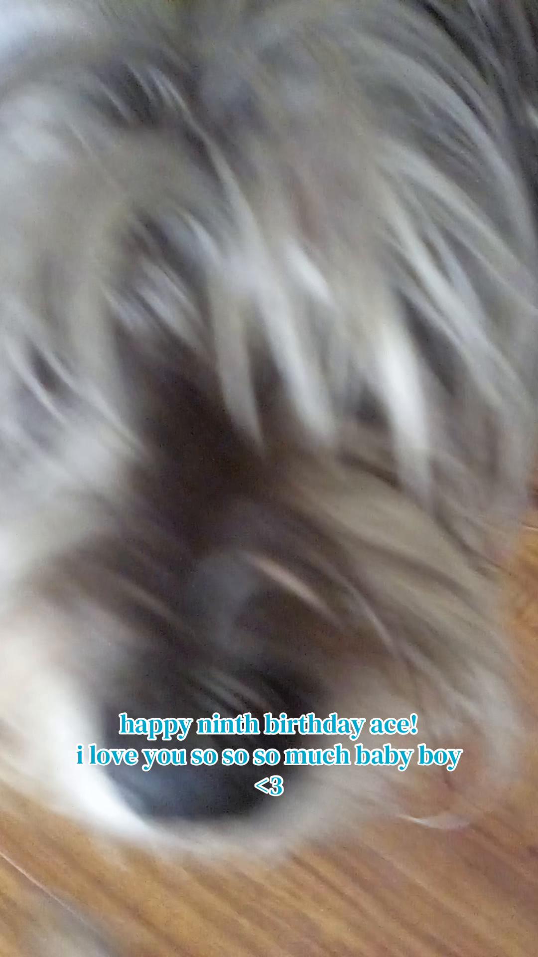 @mikey