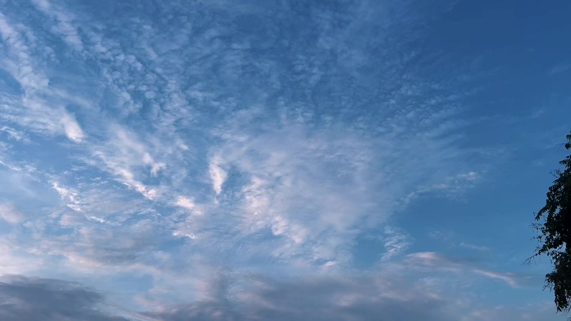 @𝒮𝑒𝓃𝑒𝓉𝒽