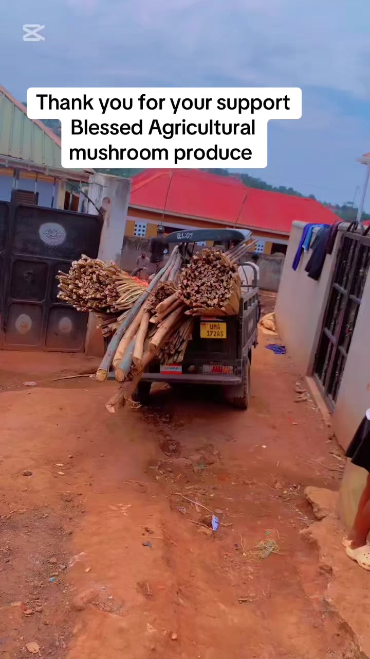 @BLESSED AGRICULTURAL MUSHROOM