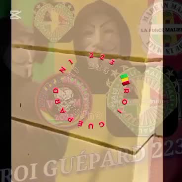 @ROI GUÉPARD N1 223 N1 🇲🇱🇧🇫