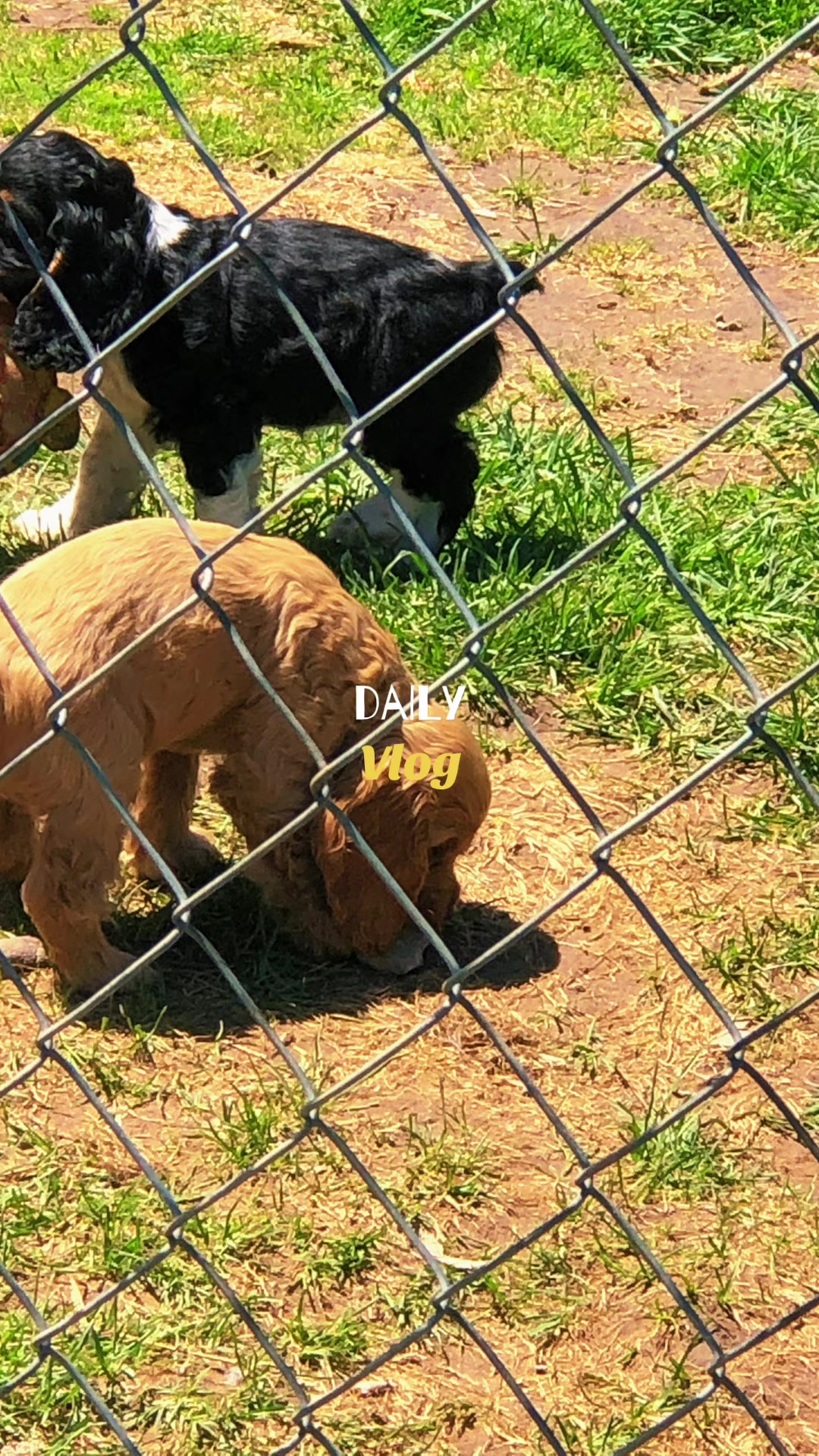 @zookept
