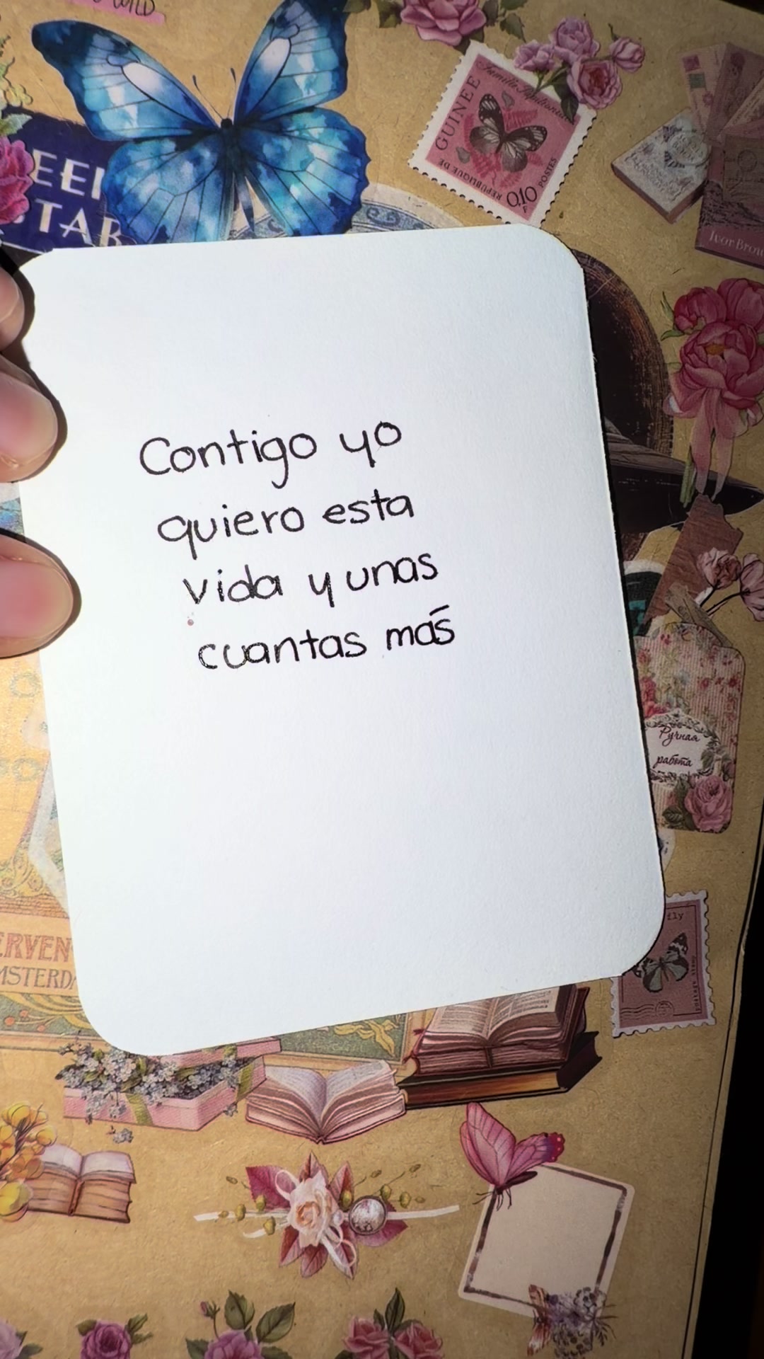@crisfecnotas🌙