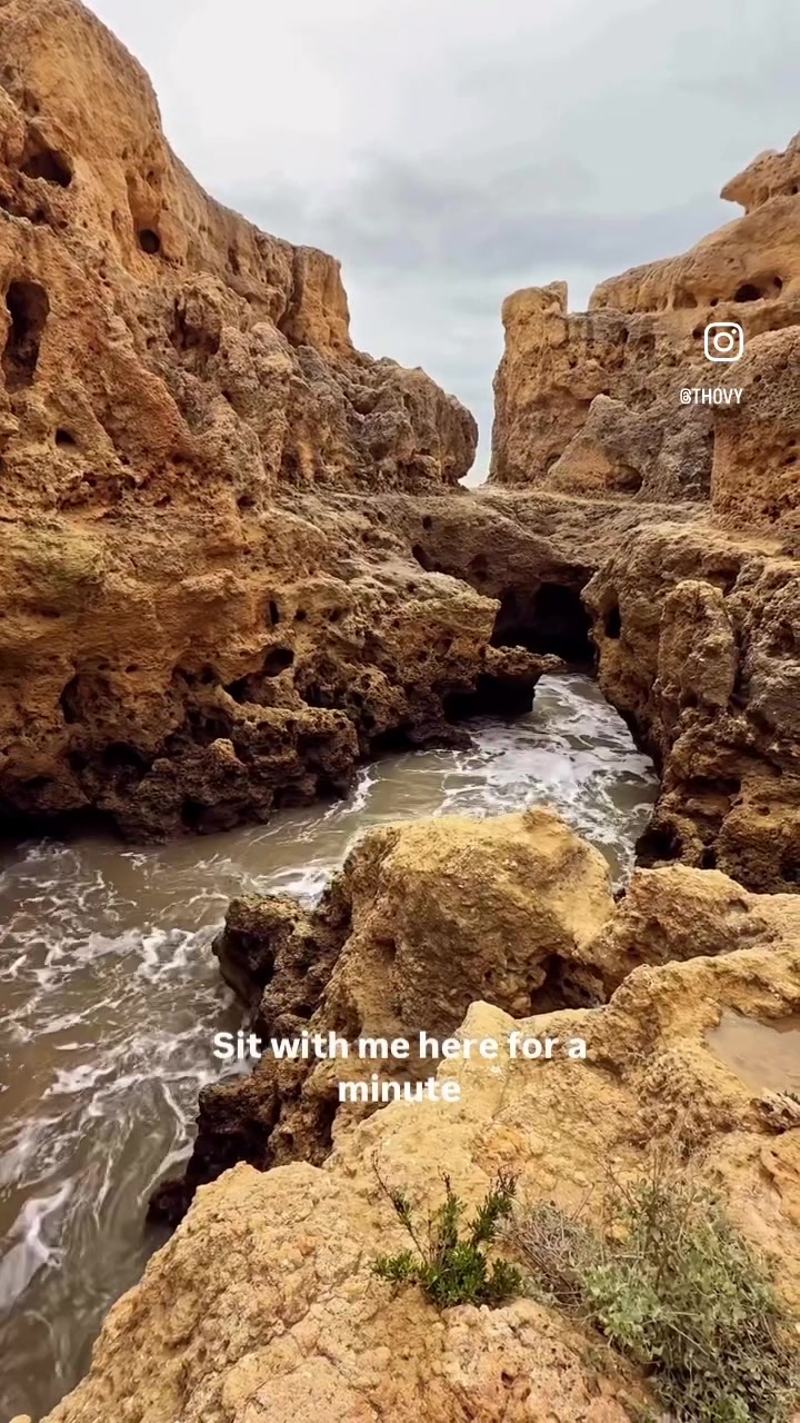 @th0vy