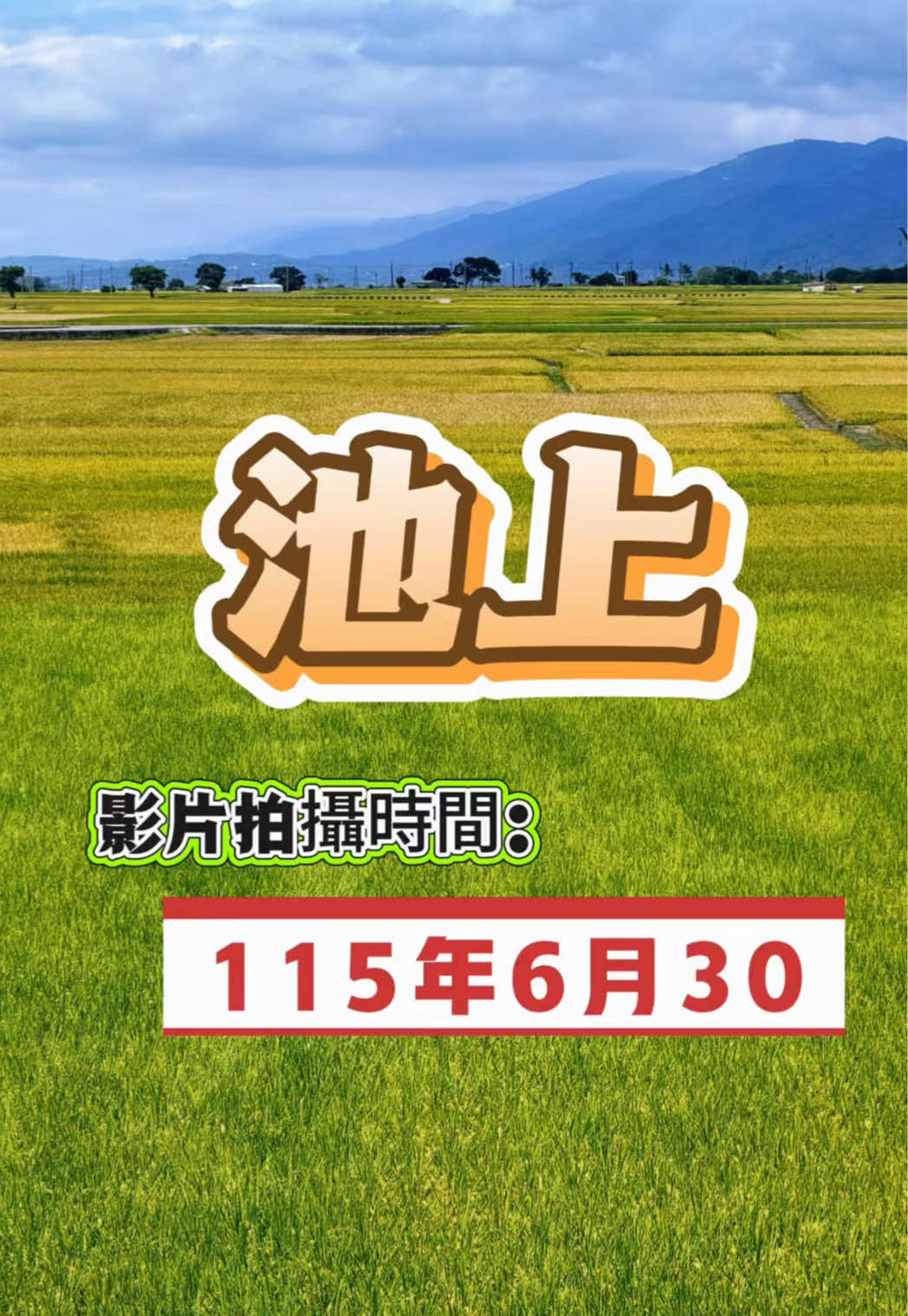 @美娴(華鼎自行車出租店)