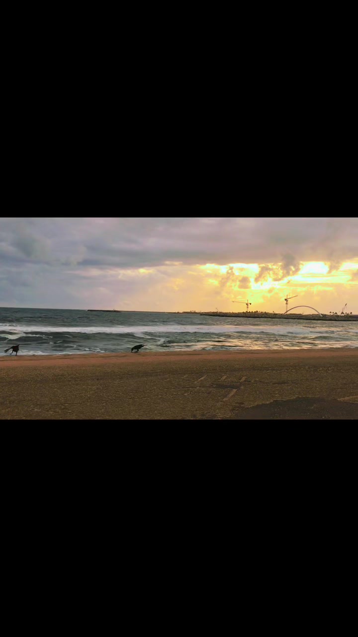 @S...Siva340❤️