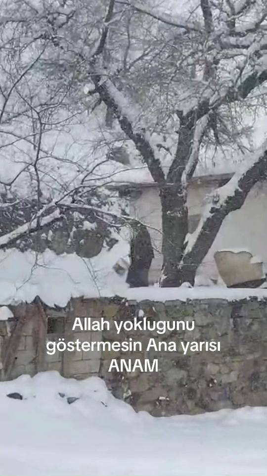 @kosemehmet