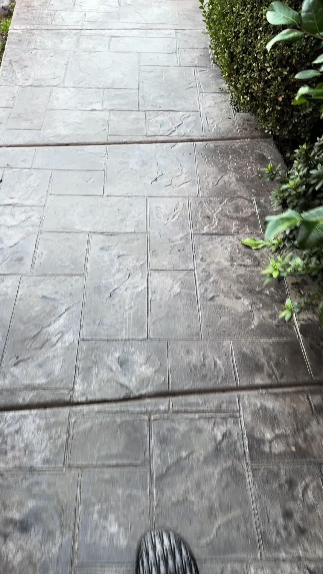 @2stockgt