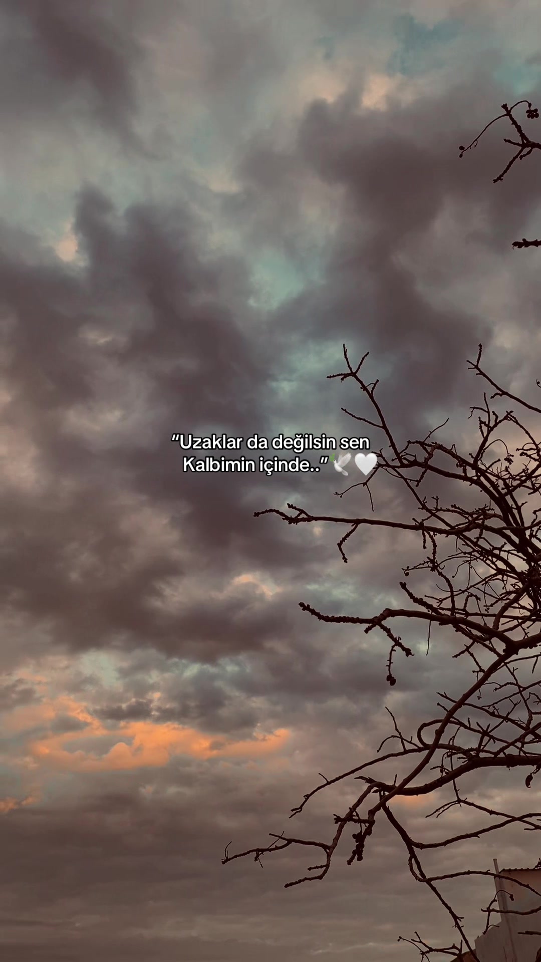 @𝑩ü𝒏𝒚𝒂𝒎𝒊𝒏⚡️