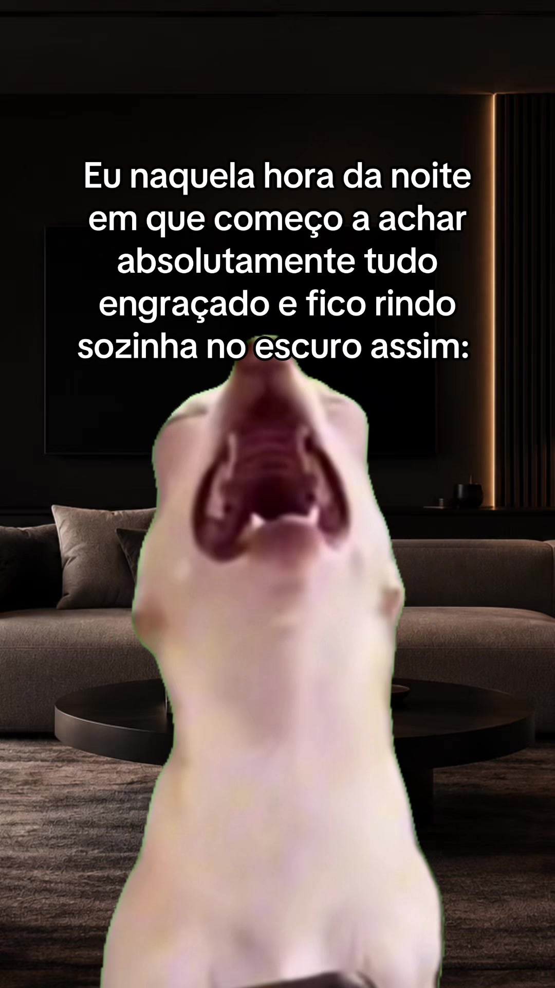 @tababadeira