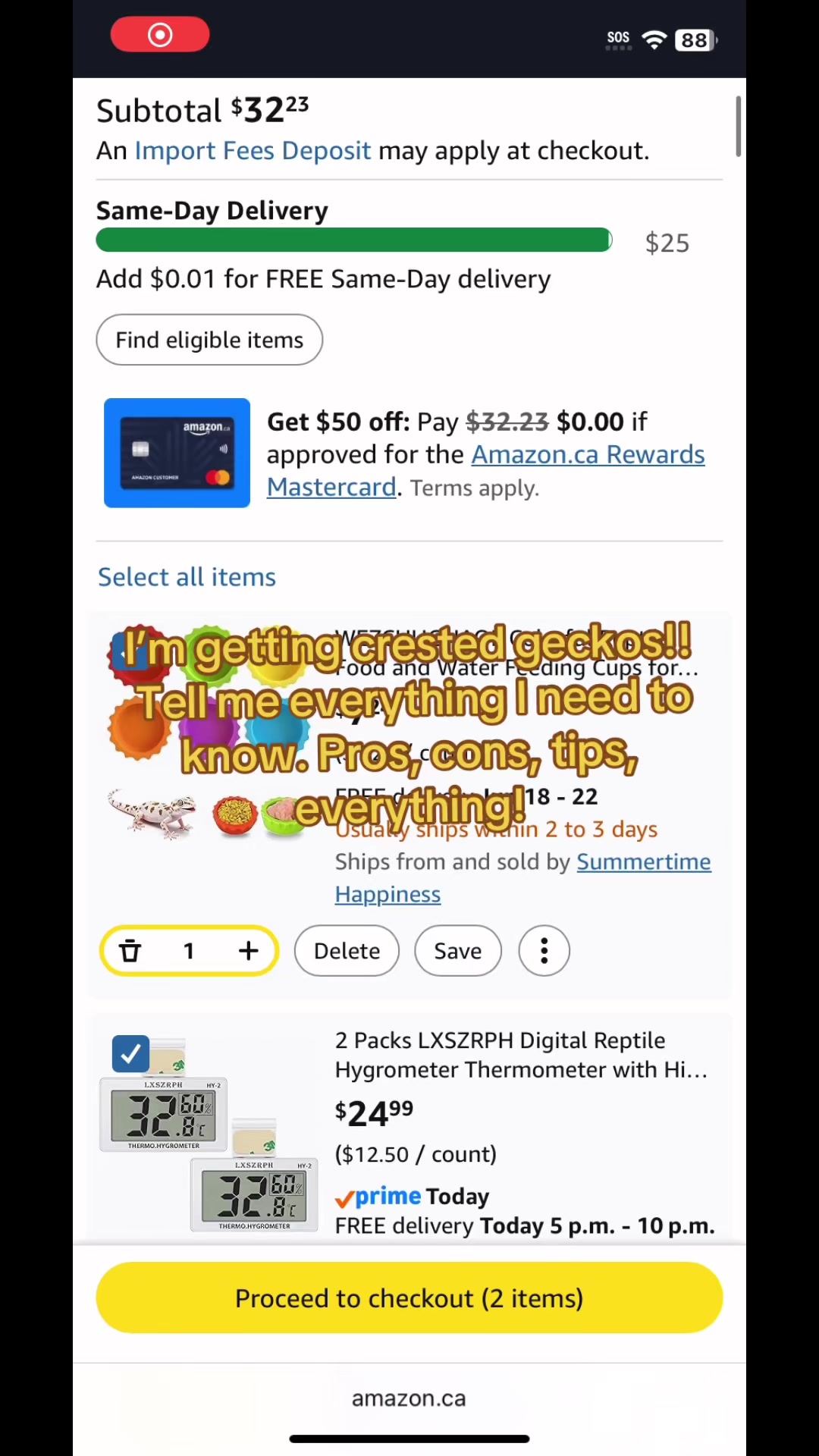 @⋆𐙚࿔𝓦𝓲𝓵𝓵𝓸𝔀 𝄞 𝓒𝓸𝜗𝜚˚⋆