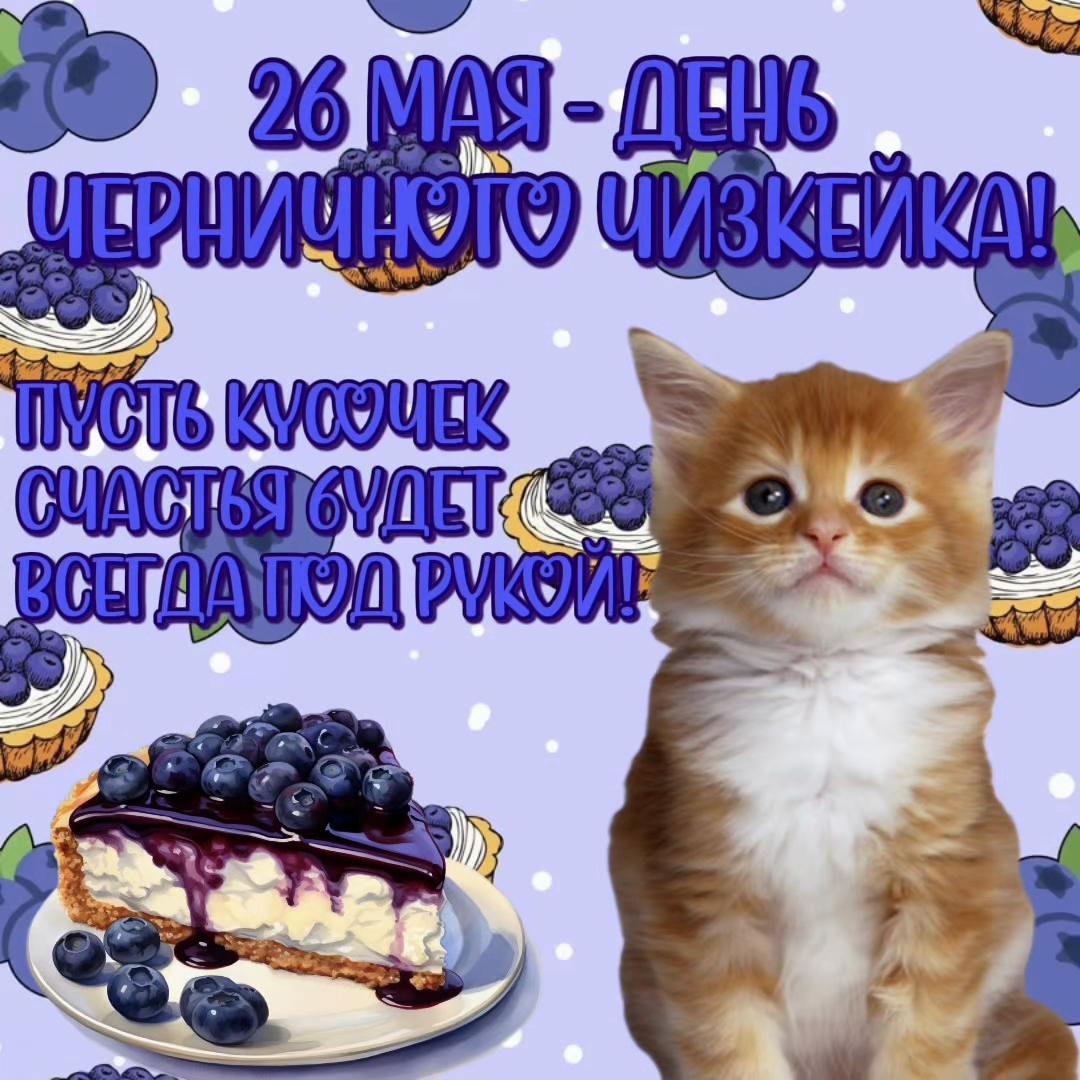 @котики на каждый день