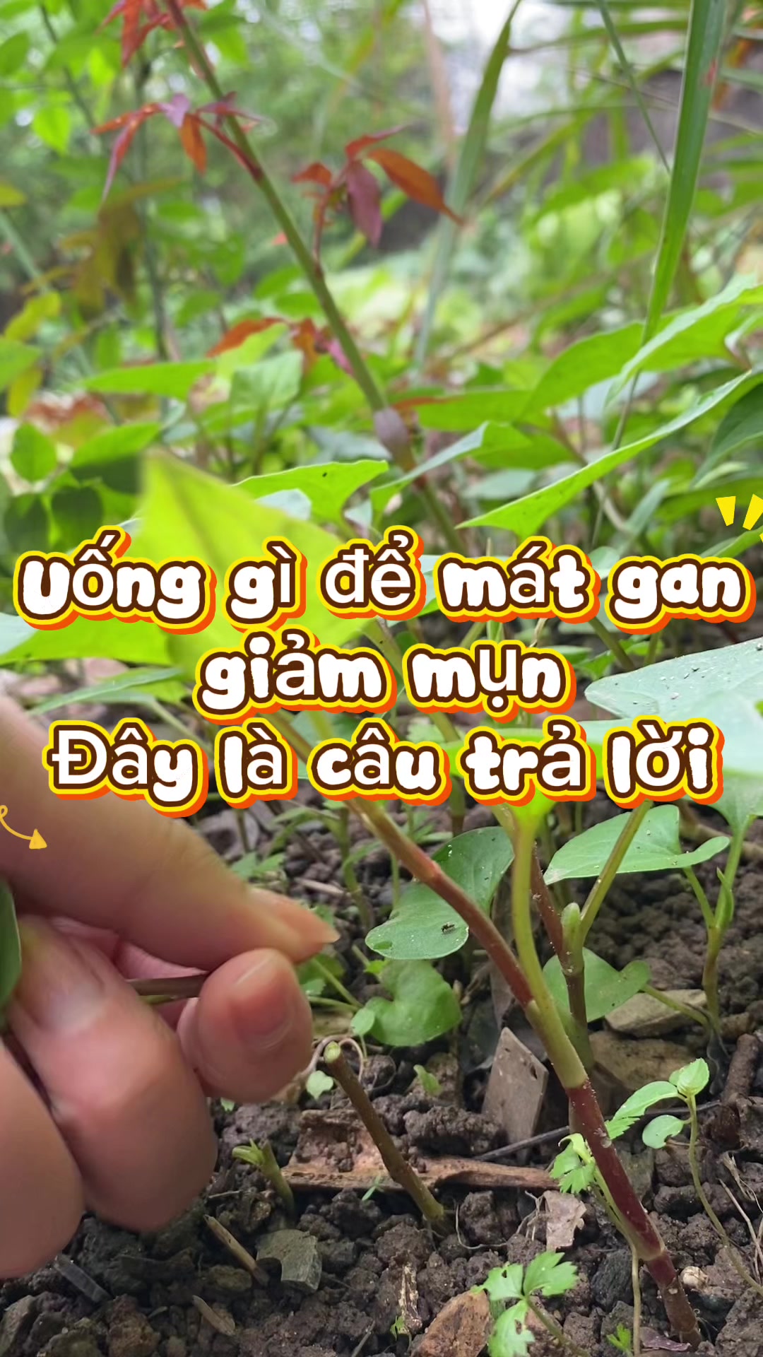 @C&ocirc; Dược Sĩ Duy&ecirc;n💊