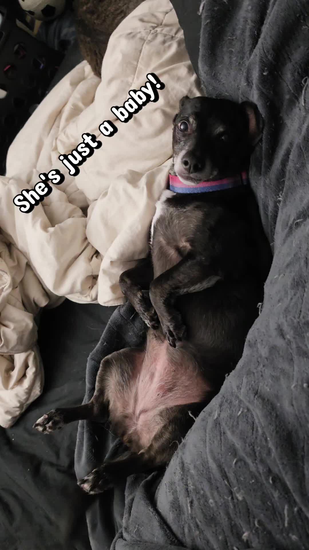 @Polyweird