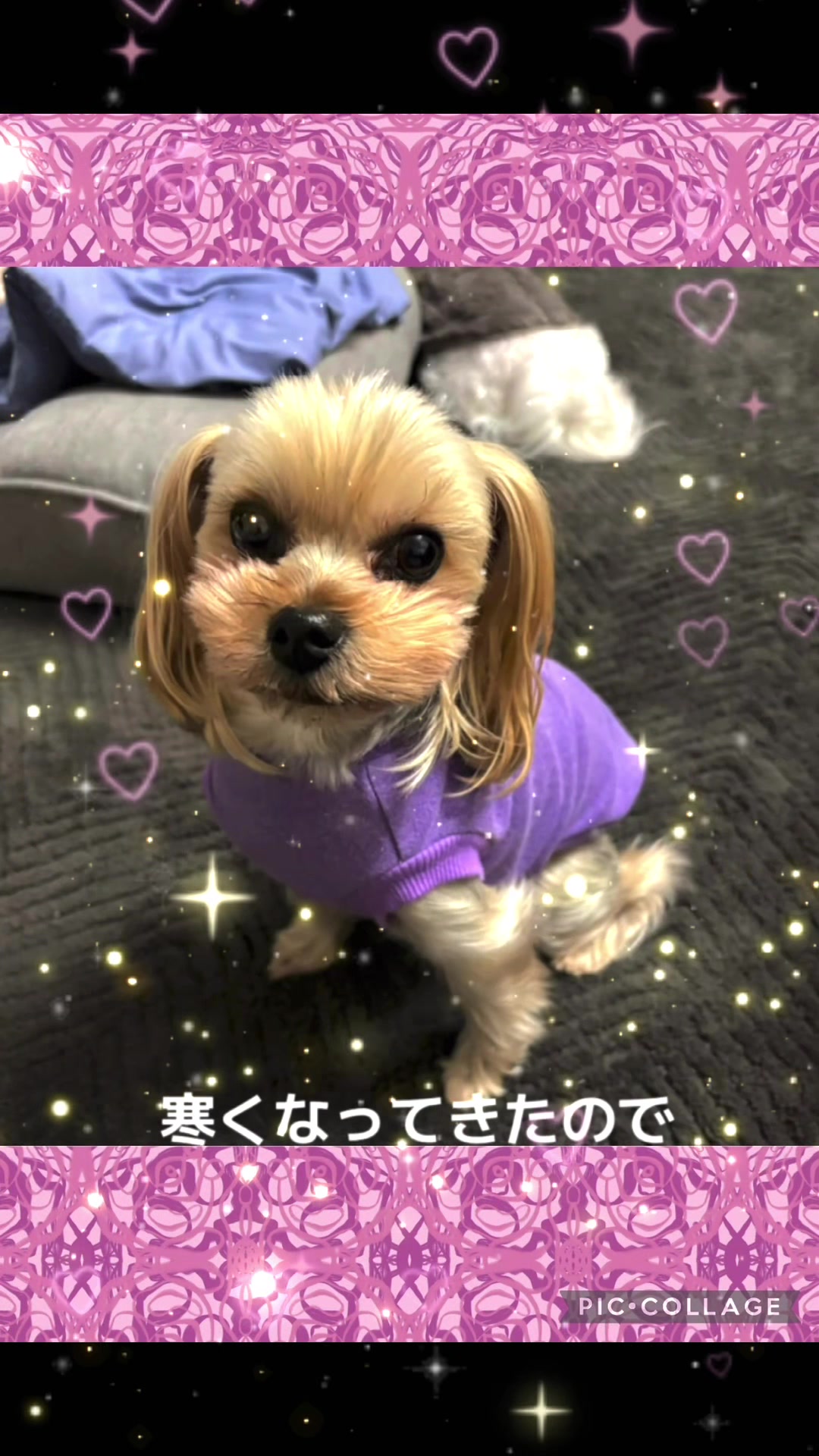 @ビビまるトンチャー