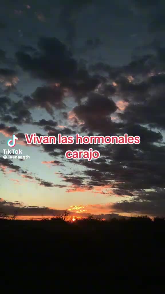 @Danna Gtx