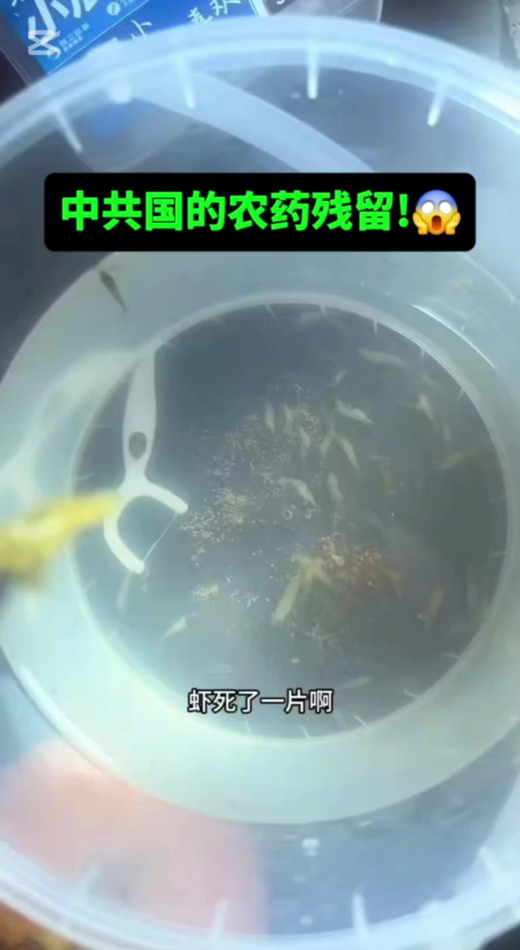 @奇点思维